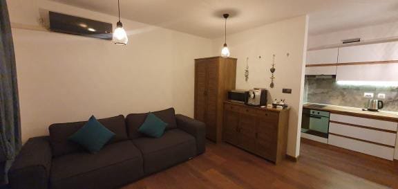 Современная студия с уютным диваном, кухонным уголком и деревянными элементами в комплексе Relax Holiday.