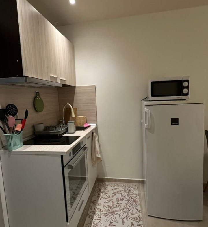 Современная кухня в студии: белое оборудование, холодильник, газовая плита, светлые деревянные шкафчики и стильно оформленный коврик.