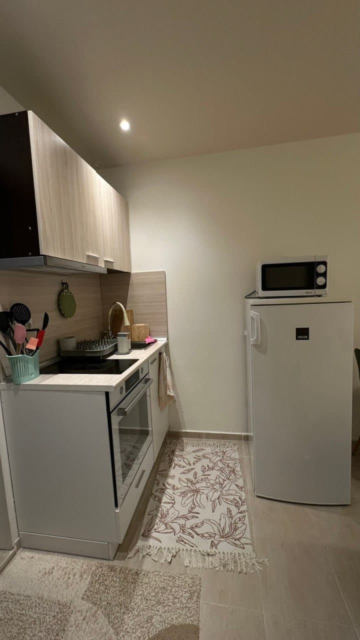 Современная кухня в студии: белое оборудование, холодильник, газовая плита, светлые деревянные шкафчики и стильно оформленный коврик.