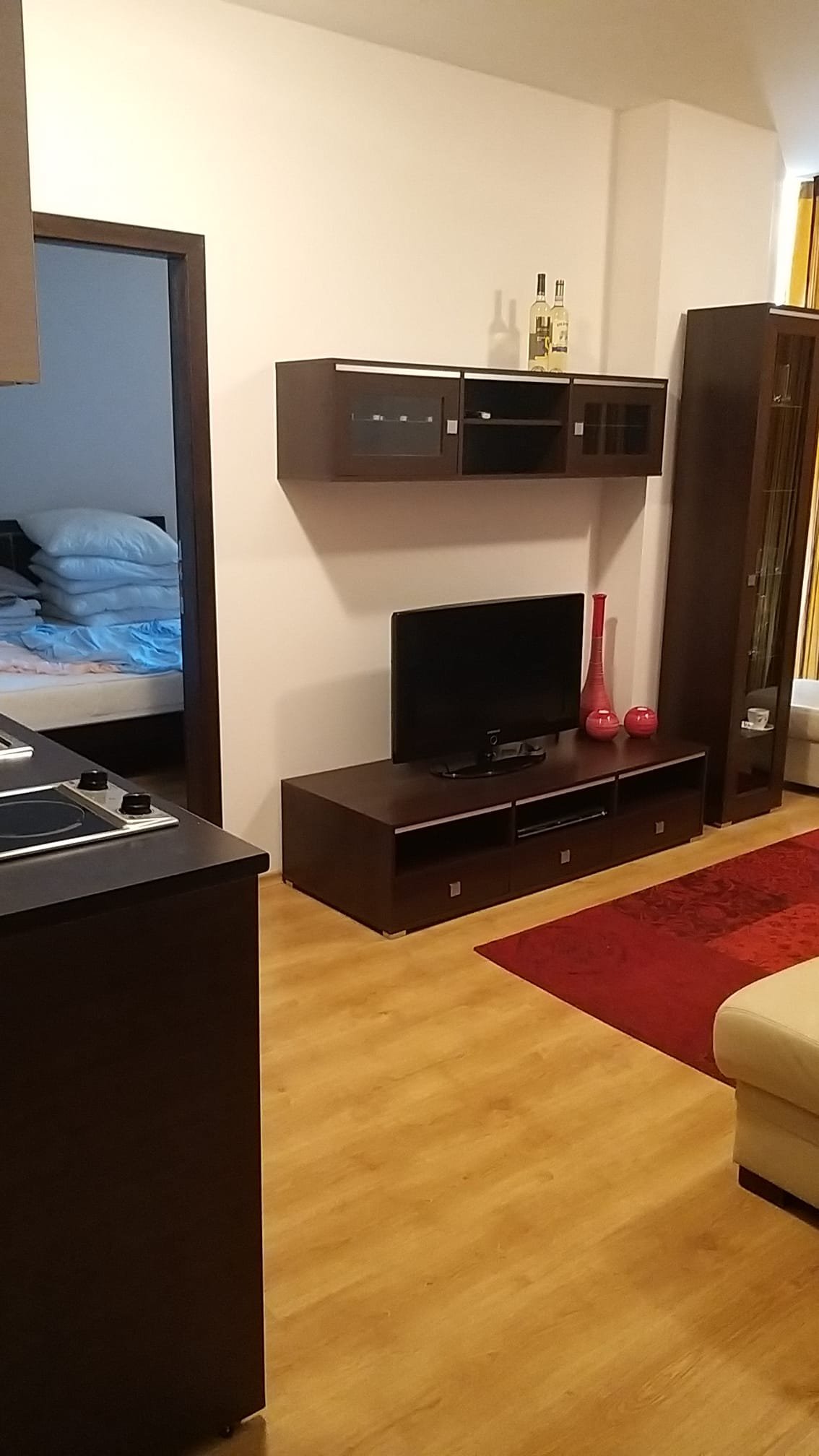 Современный двухкомнатный апартамент с уютной гостиной, телевизором, стильной мебелью и спальней на заднем плане.