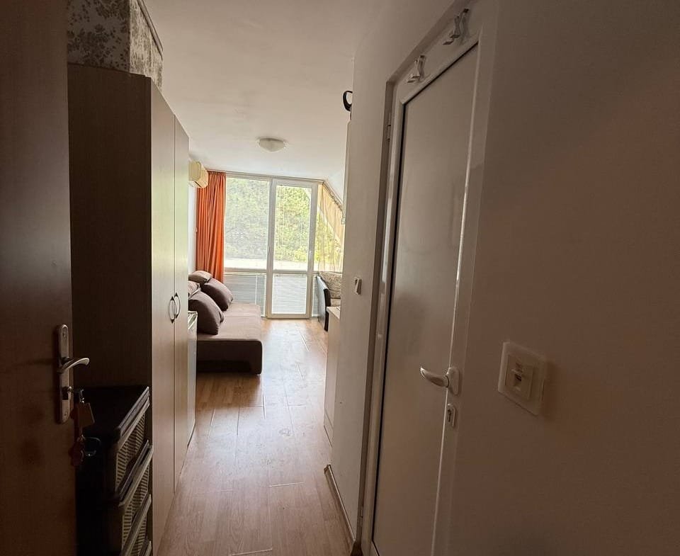 Современный интерьер студии с прихожей, деревянным полом и мягким диваном у окна с яркими занавесками.