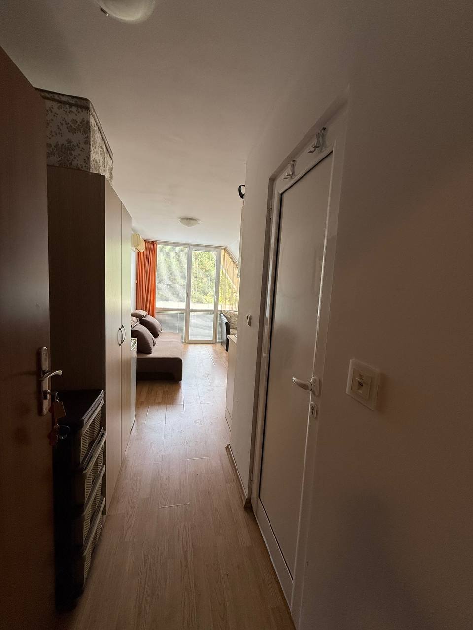 Современный интерьер студии с прихожей, деревянным полом и мягким диваном у окна с яркими занавесками.