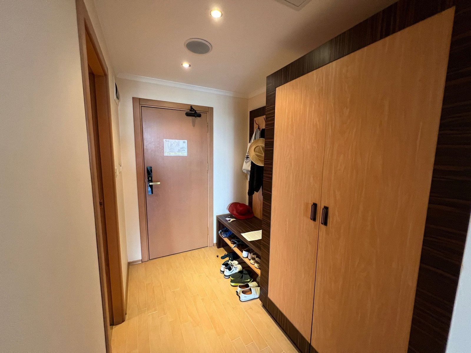 Современный коридор квартиры с шкафом и обувью. Современный коридор в квартире в Болгарии с дверью, шкафом и обувью на полу, отражающий уютный интерьер для продажи недвижимости.