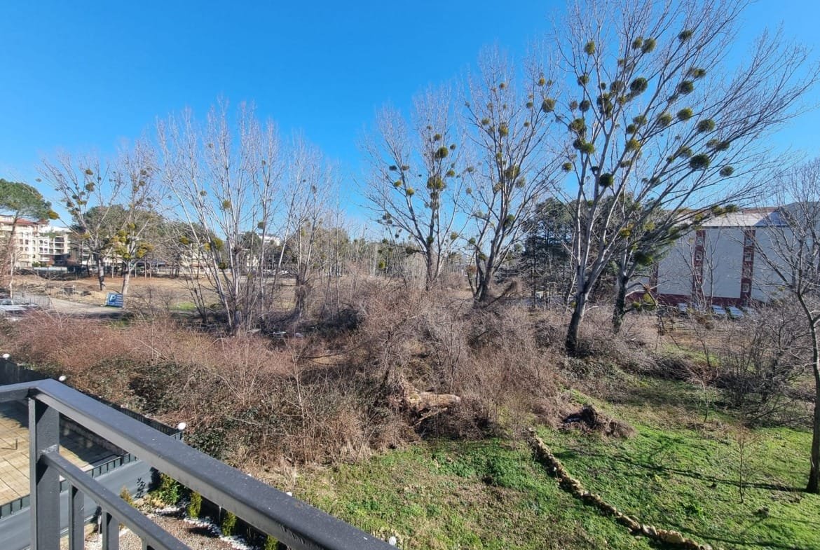 Вид на участок земли с зелеными деревьями и кустарниками, подходящий для покупки недвижимости в Болгарии.