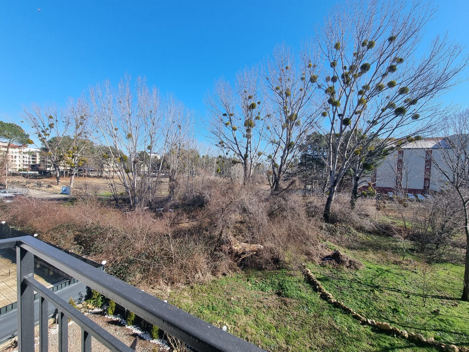 Вид на участок земли с зелеными деревьями и кустарниками, подходящий для покупки недвижимости в Болгарии.