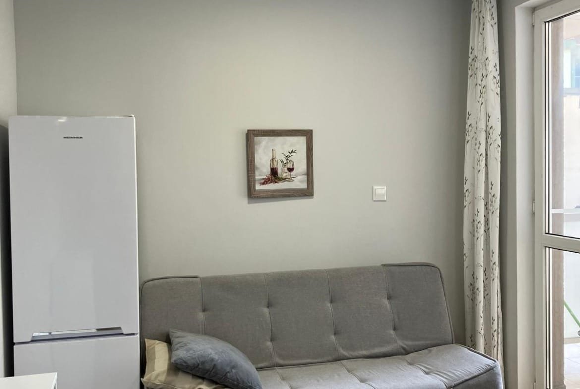 Современная гостиная с серым диваном, холодильником и ярким ковром, оформленная в спокойных тонах для уютной атмосферы.