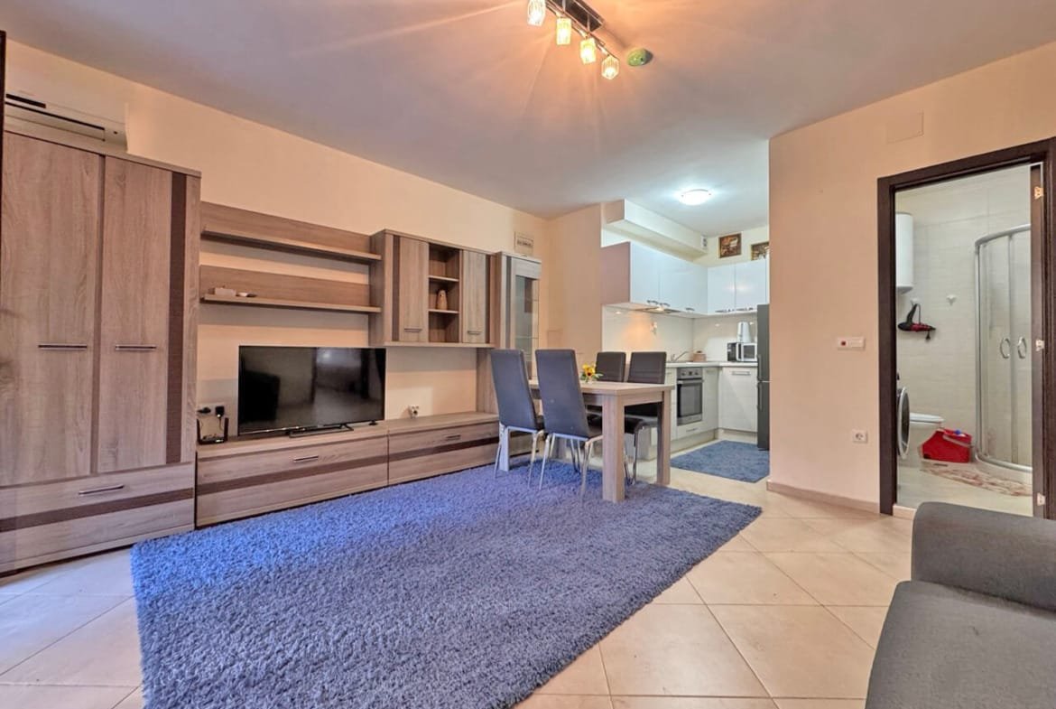 Современная гостиная с телевизором, обеденным столом и кухней, отделенной перегородкой, светлый интерьер, уютный ковер.