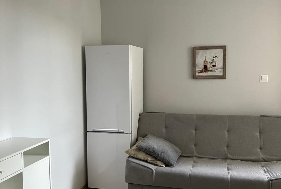 Современный интерьер квартиры в Болгарии с серым диваном, белым холодильником и декоративной картиной на стене.