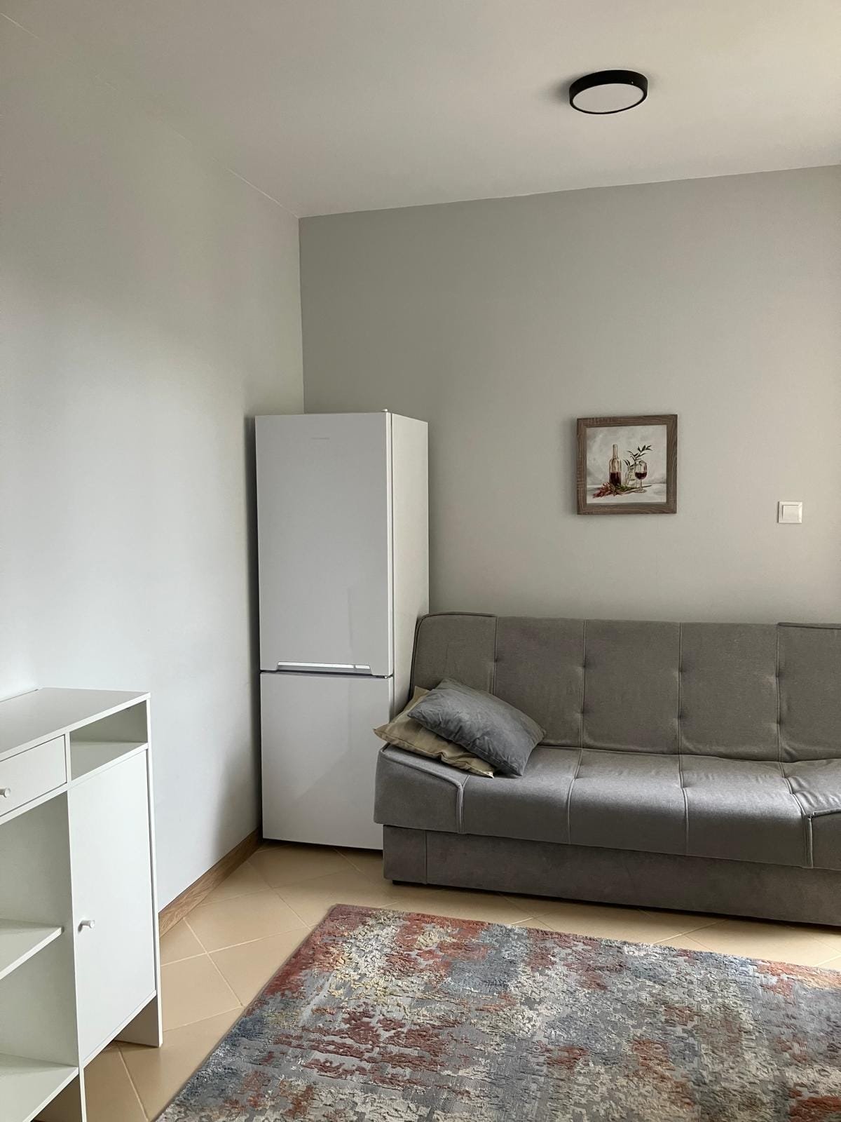 Уютная гостиная с диваном и холодильником в светлых тонах Современный интерьер квартиры в Болгарии с серым диваном, белым холодильником и декоративной картиной на стене.