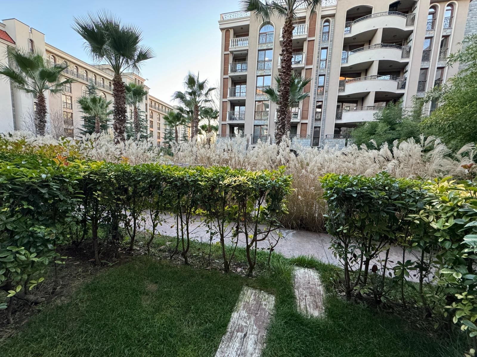 Зеленый сад с кустами и пальмами на фоне жилого комплекса в Болгарии, идеальное место для жизни и инвестиций в недвижимость.