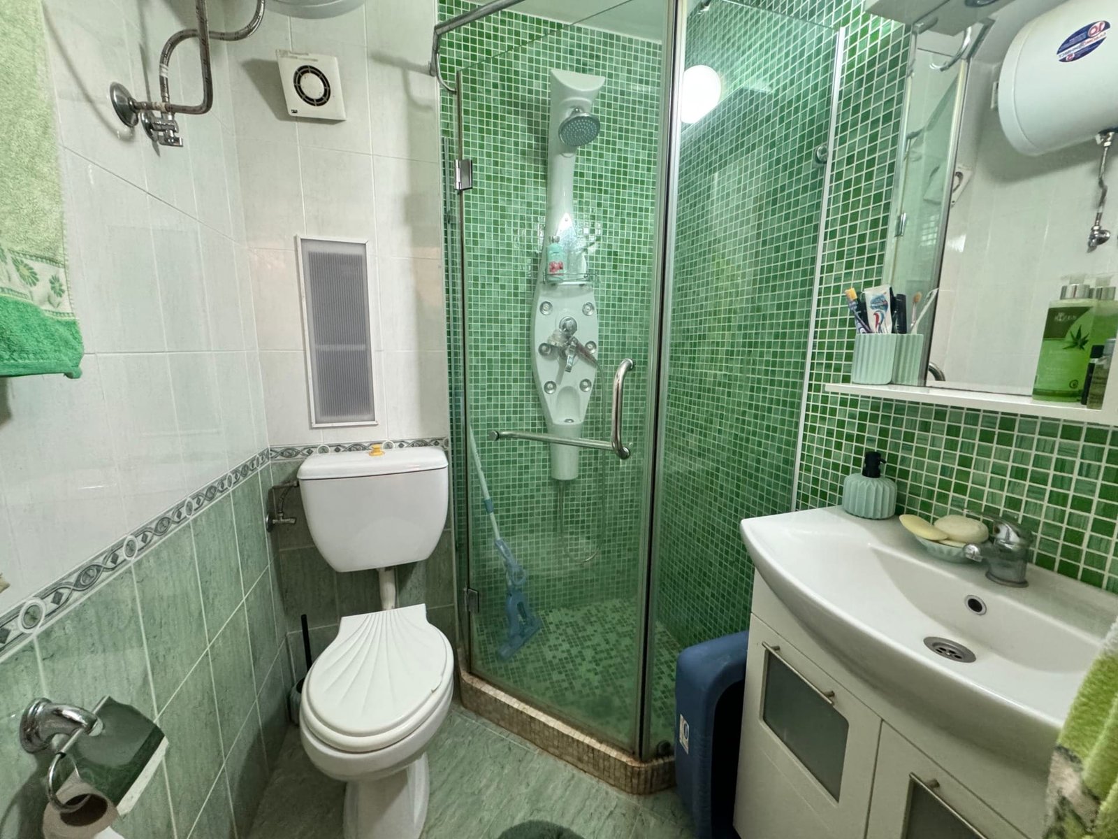 Современная ванная комната с душевой кабиной, унитазом и раковиной, оформленная в зелёных тонах. Идеально для жилья в Болгарии.