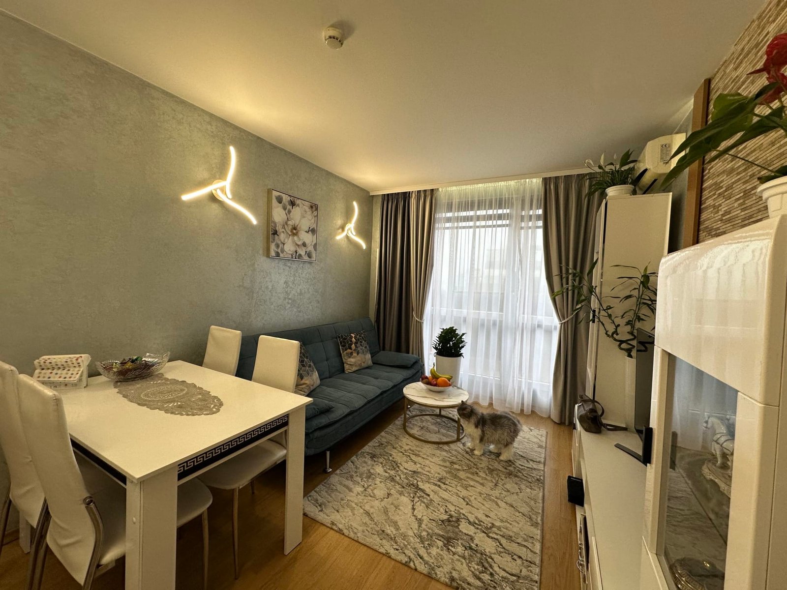 Современная гостиная с диваном, обеденным столом, цветами и кошкой, ярким освещением и большими окнами.