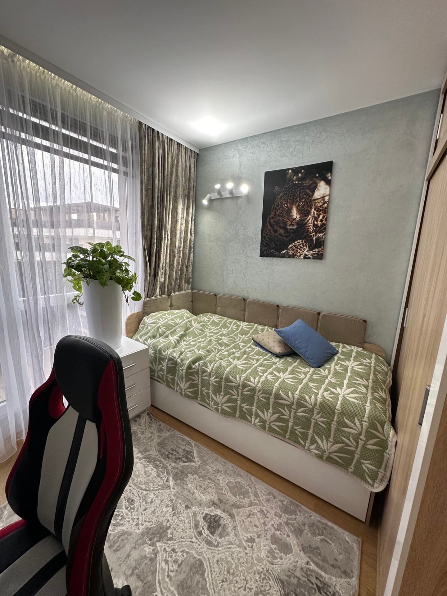 Уютная комната с диваном, пледом, подушкой, растениями и постером с изображением кошки на стене. Светлое оформление.