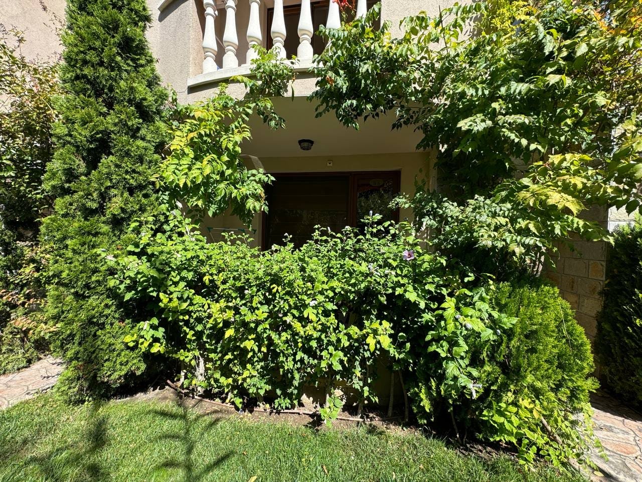 Уютный вход в дом, окруженный зелеными кустарниками и деревьями, на фоне солнечного дня в Болгарии. Оптимально для покупки недвижимости.