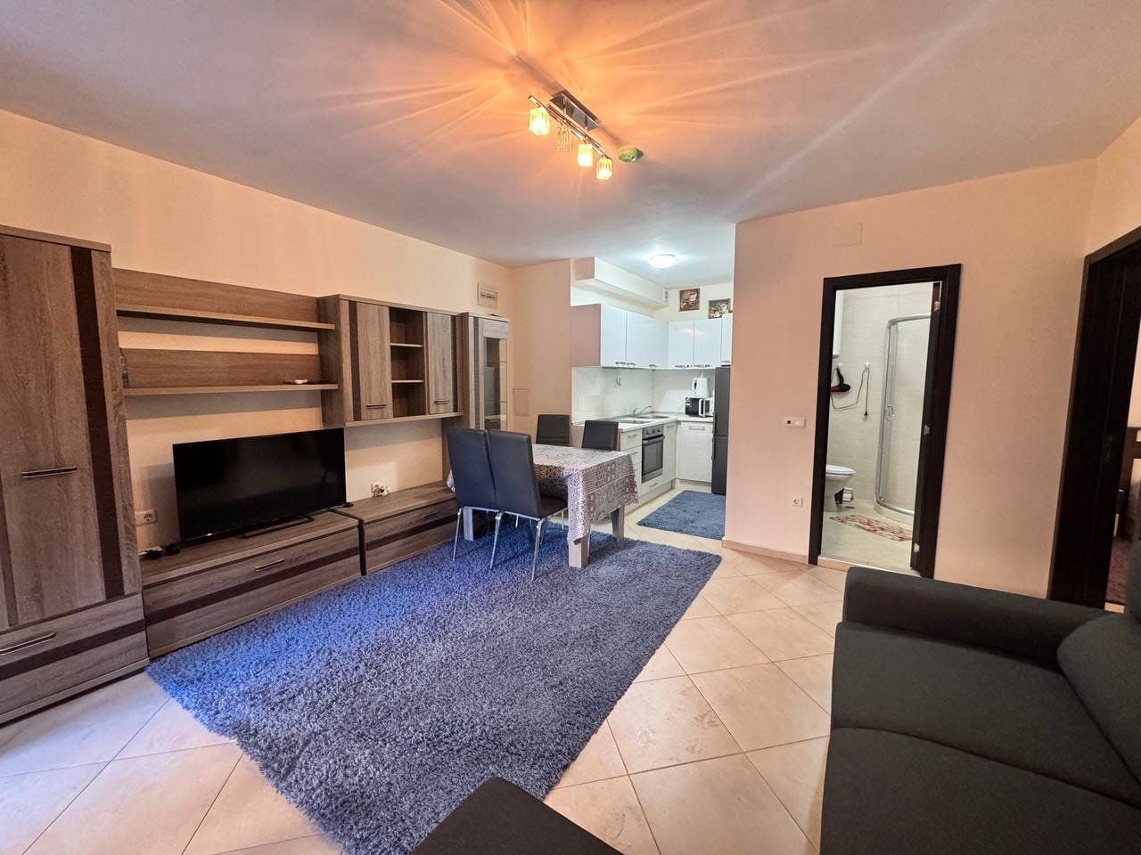 Современная квартира в Болгарии с мебелью, уютной обстановкой, открытой кухней и гостиной на фоне светлых тонов.