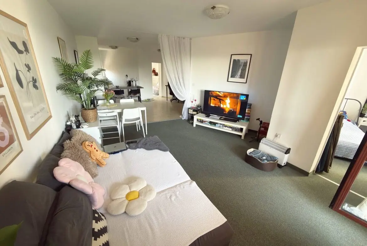 Современная гостиная с телевизором, диваном и растениями, светлые тона интерьера, квартира в Болгарии на продажу.