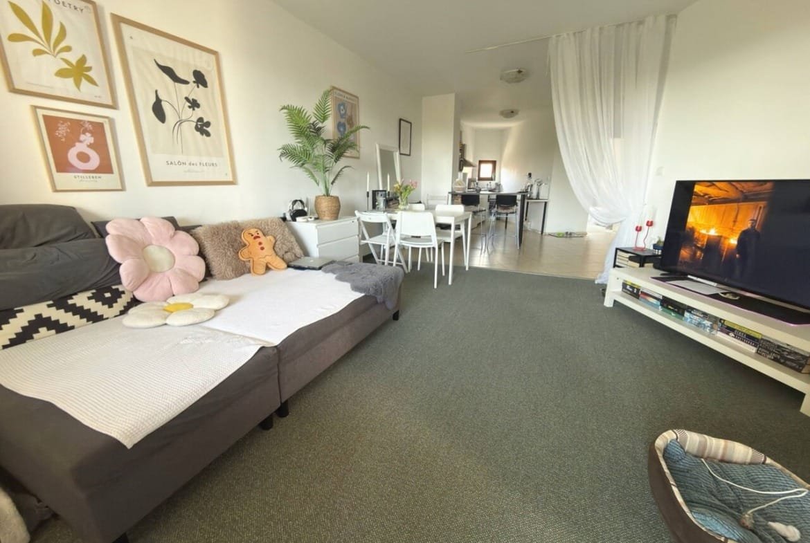 Современная уютная гостиная с мягким диваном и телевизором, стильный интерьер, в квартире в Святом Власе.