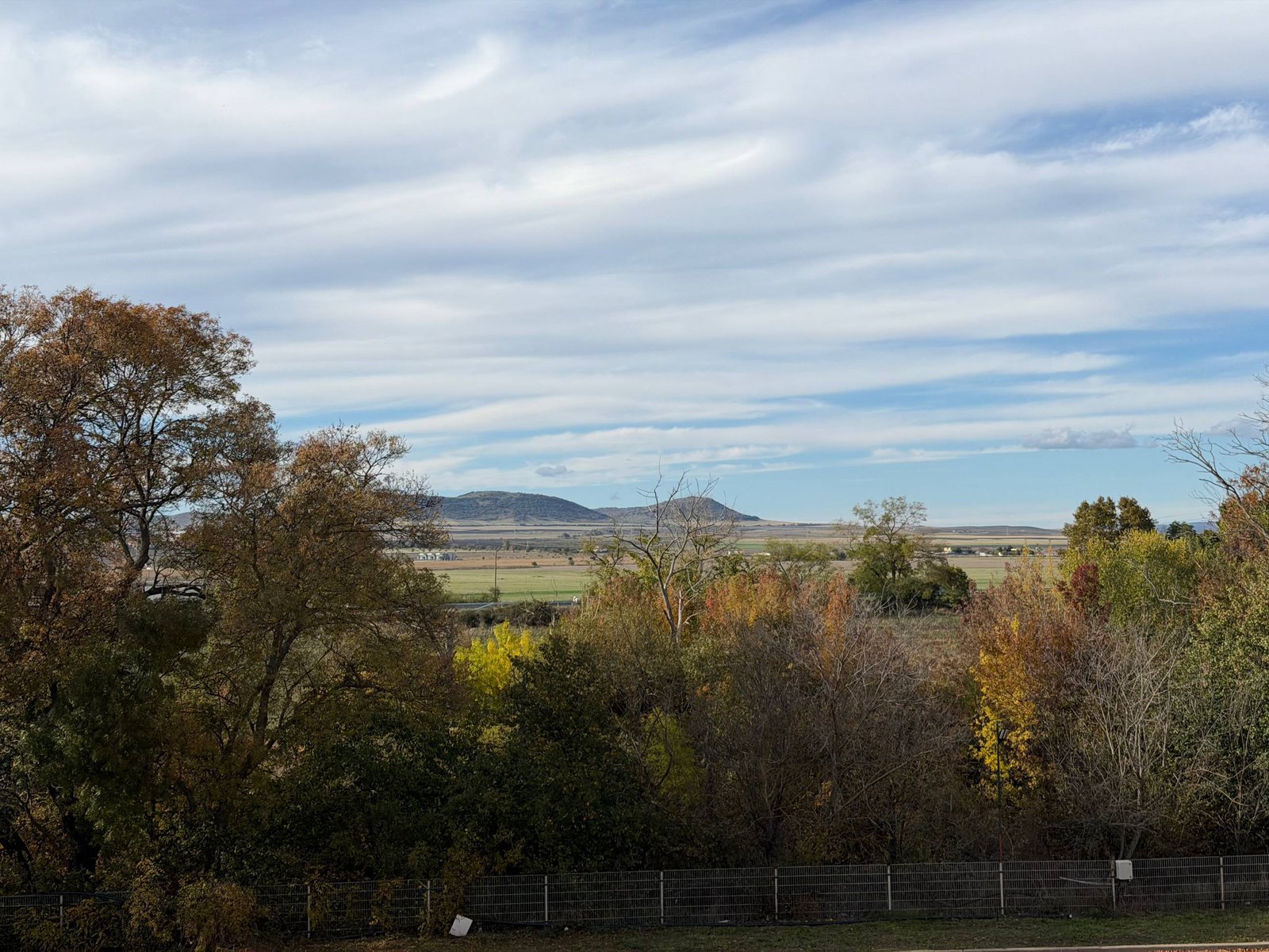 photo_1_2025-10-30_13-29-53